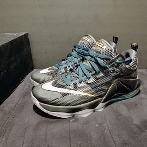 LeBron 12 low "SVSM"